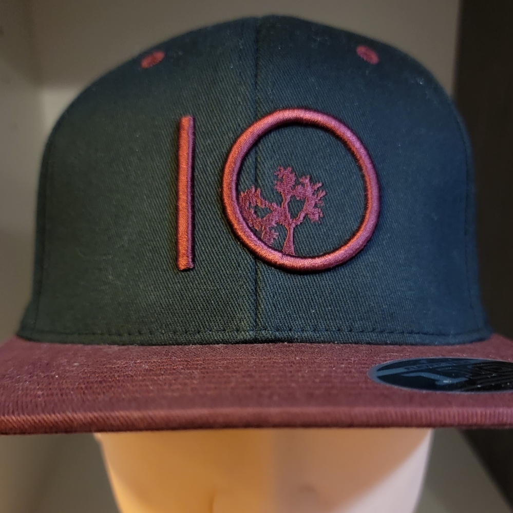 BNWOT TenTree Adjustable Hat